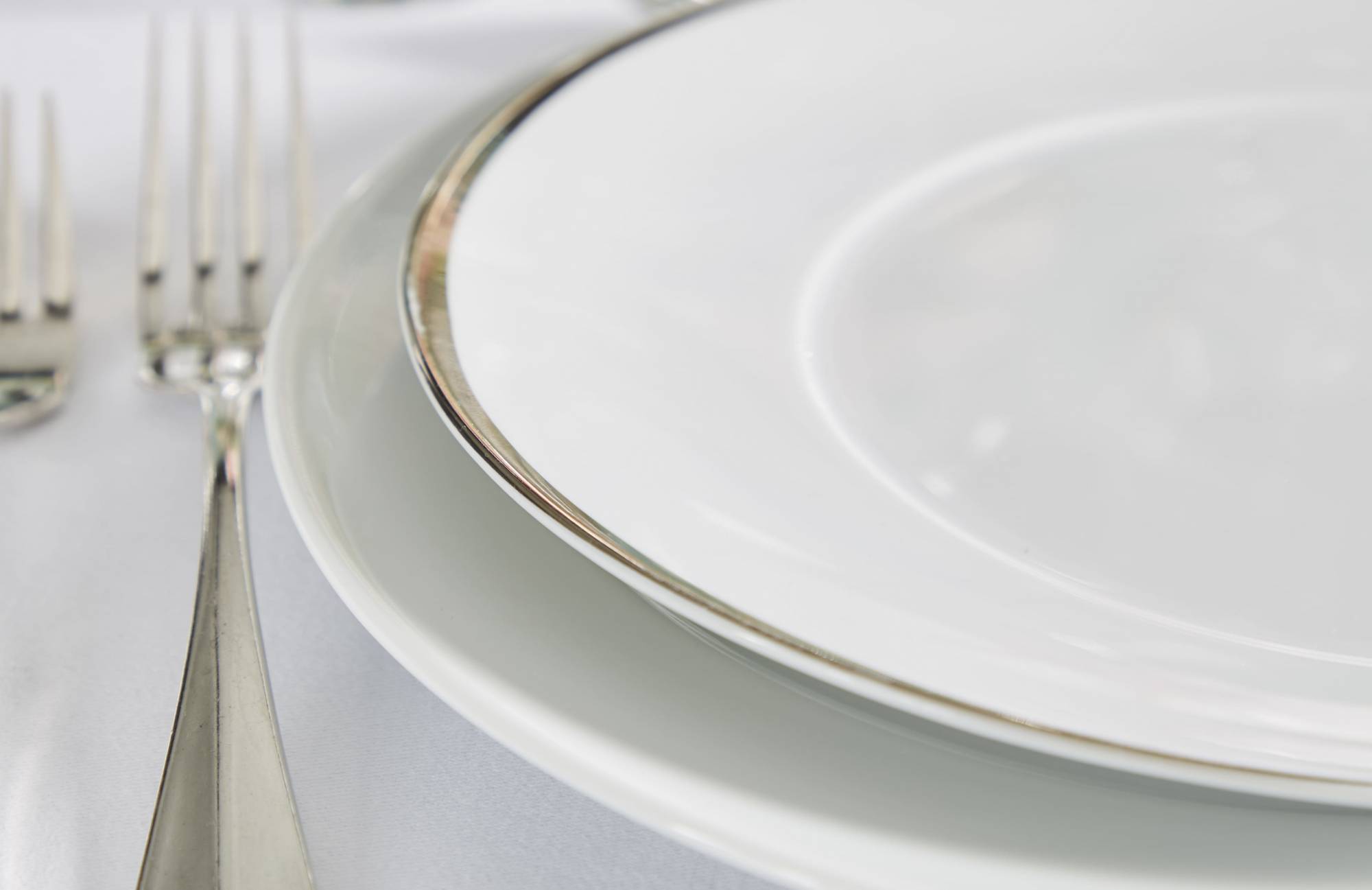 Assiette porcelaine Plate Filet Or / Ellipse Argent