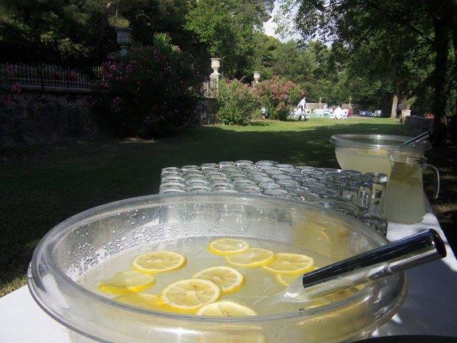 LOCATION BOL A PUNCH