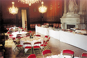 location chaise velours pour réception