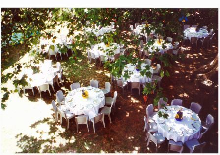 location chaise europa en repas