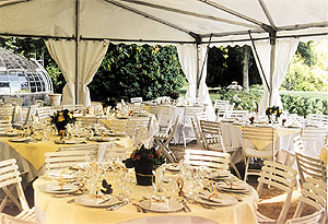 Location Chaise résine luxe